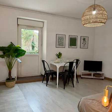 Jasmin Apartament